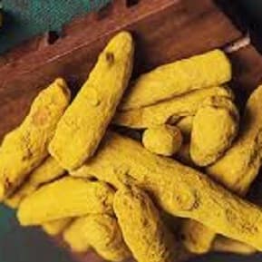  Turmeric Finger