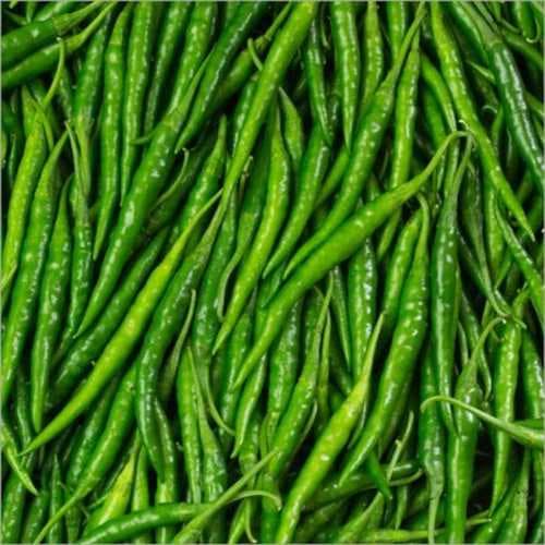 Green Chillies