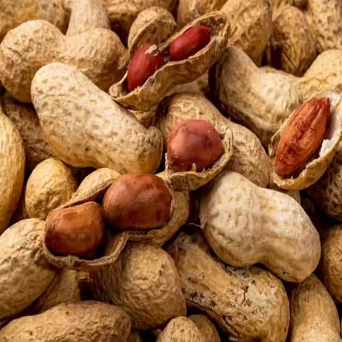 Ground Nuts