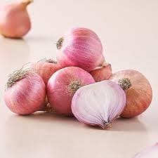 Onion