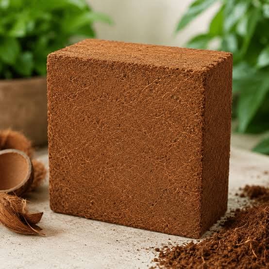 Cocopeat