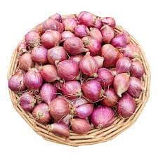 onion