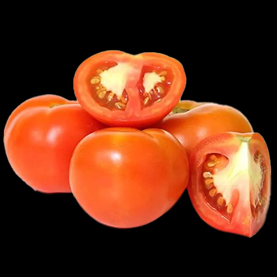 TOMATO