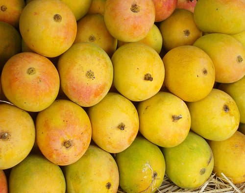 mango
