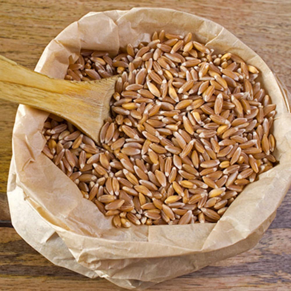 wheat