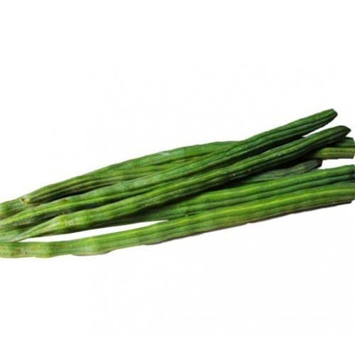 Drumstick