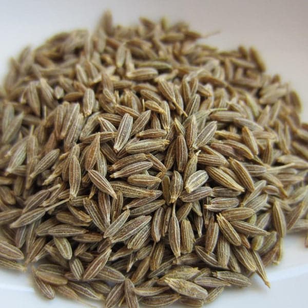 Cumin Seeds for European Country