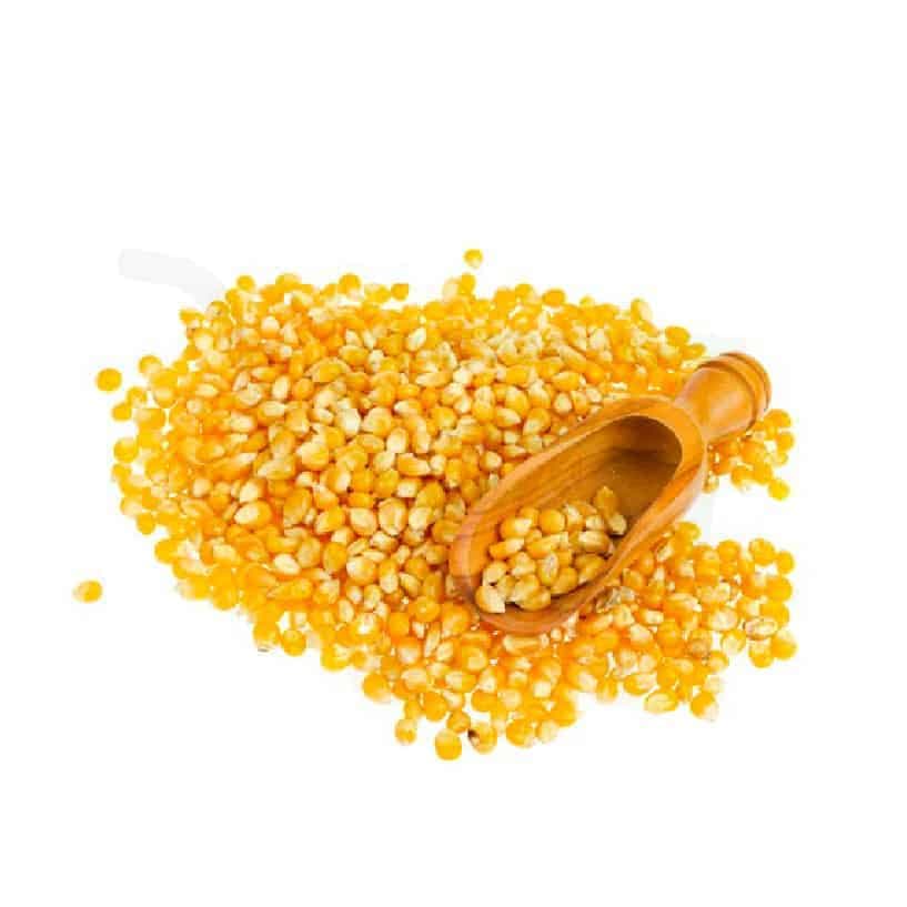 Maize