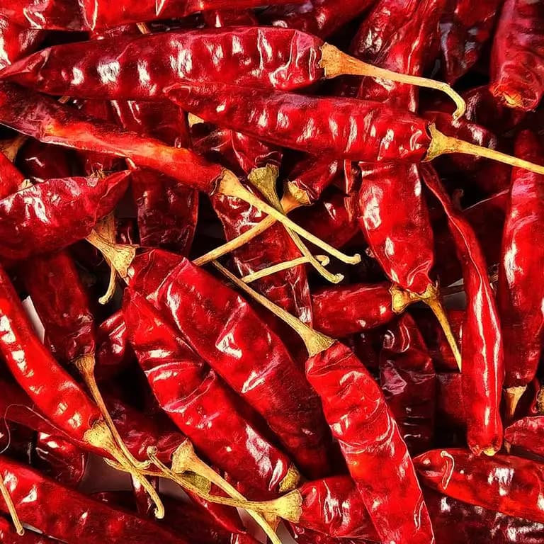dry chilli