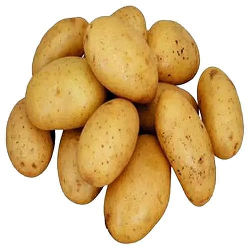 Potato