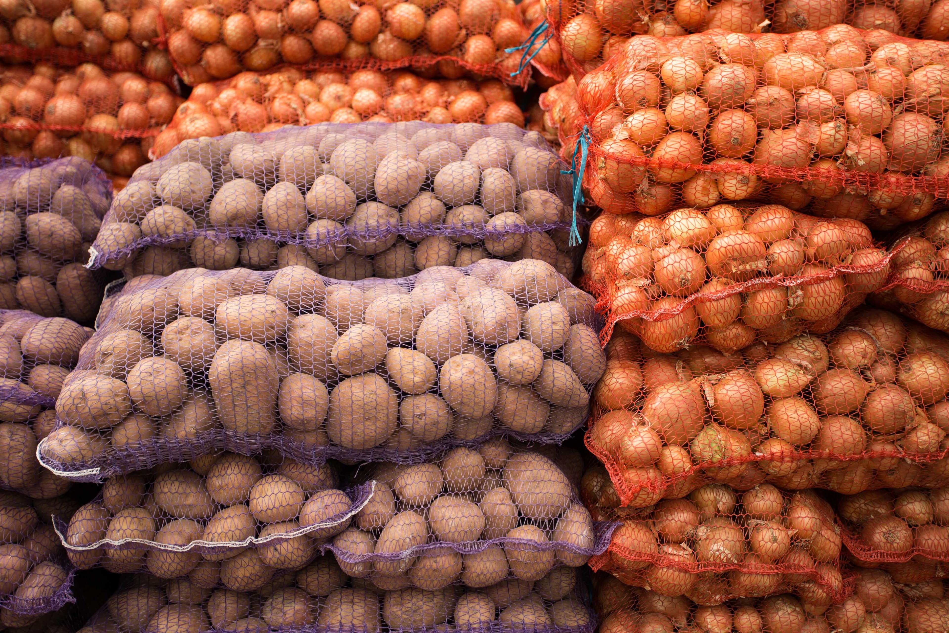 Onion
