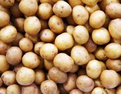 Potato