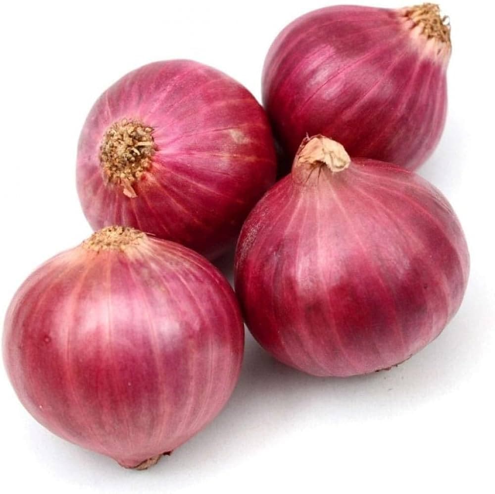 Onion Exporter in Jamnagar, Gujarat