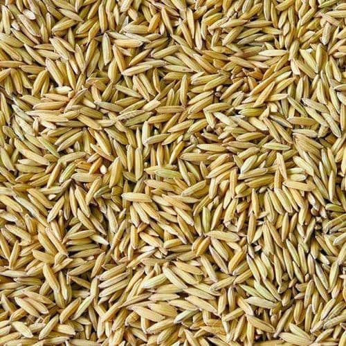 Kolam Rice