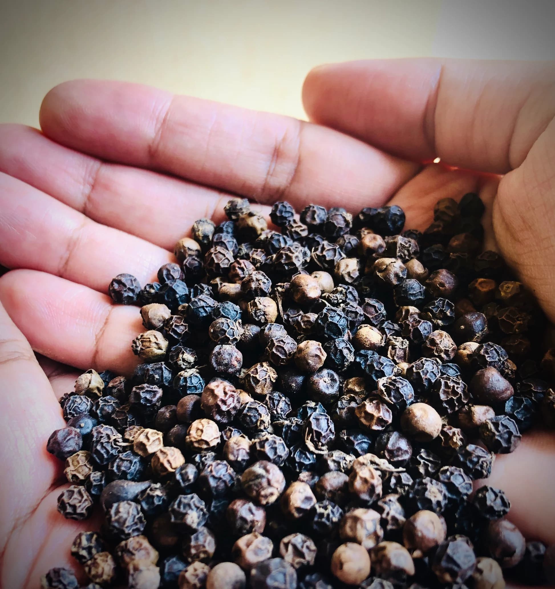 Black pepper