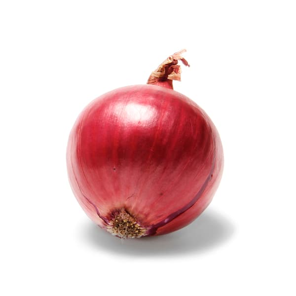 Onion