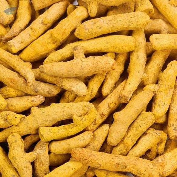 Raw Turmeric Pickle