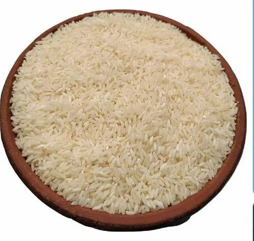 Rice