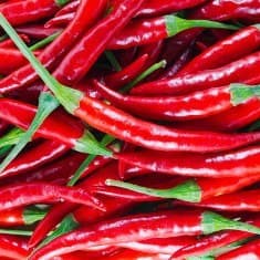 Dry Red Chilli