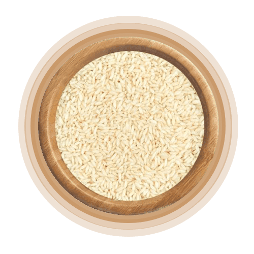 Non Basmati rice