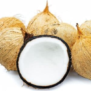 Coconut