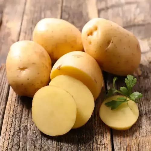 Potato