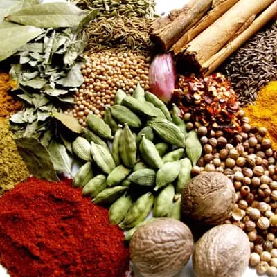 Authentic Spices