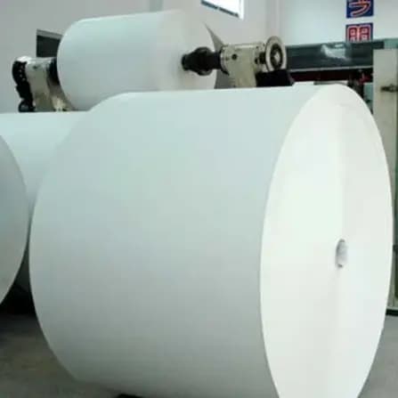 White Paper PE/PLA Coating Roll
