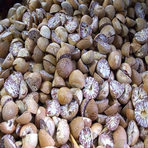 Nutmeg
