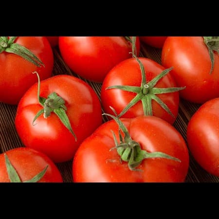 Tomato