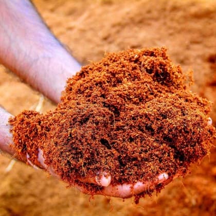 Coconut Peat
