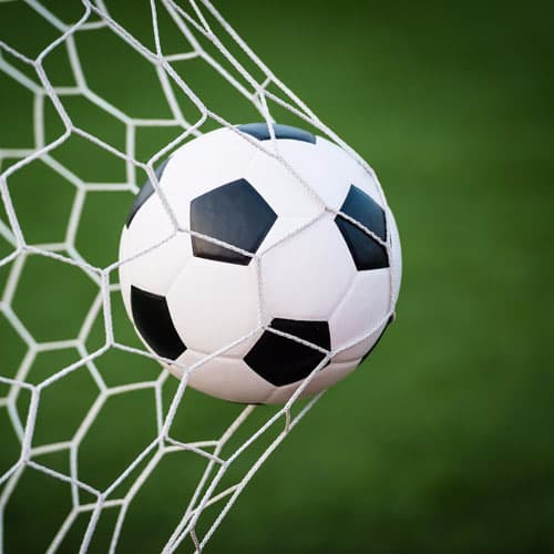 football goal net