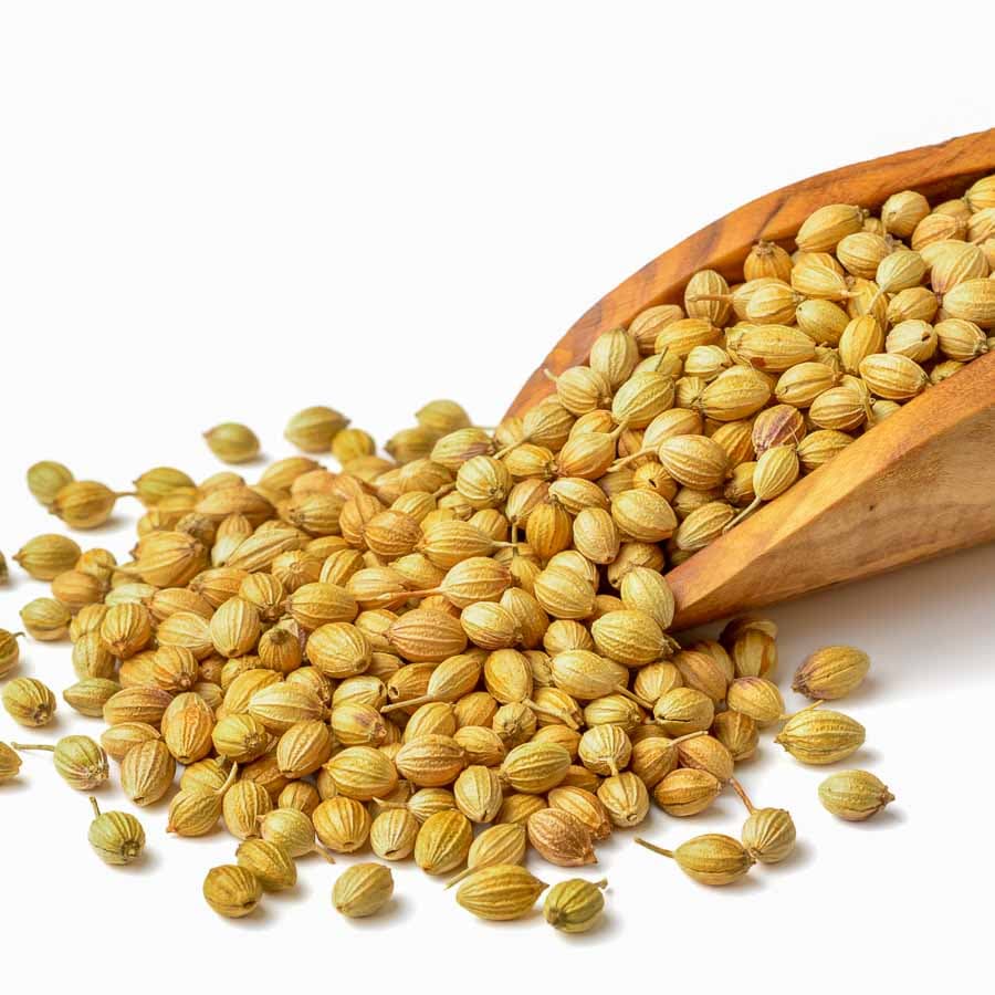 CORIANDER SEEDS