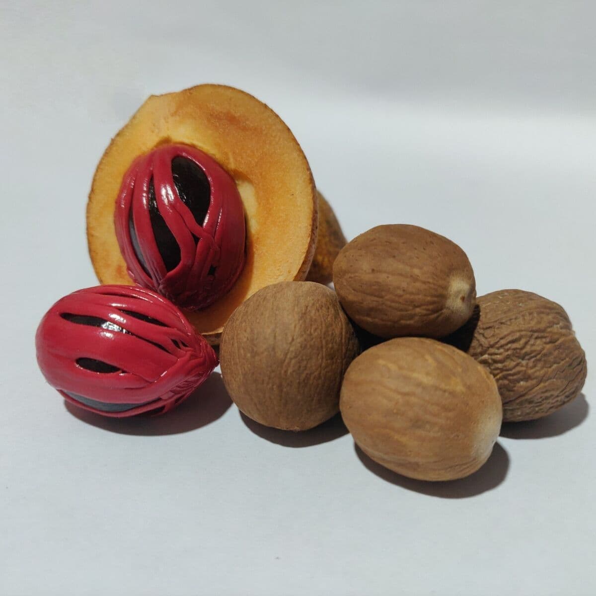 NUTMEG
