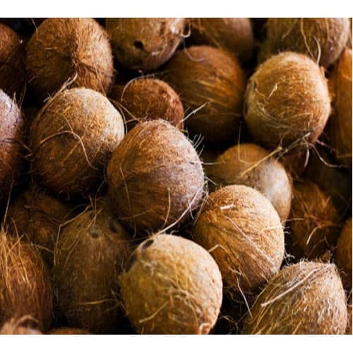 COCONUT