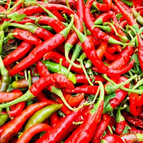 Red chilli