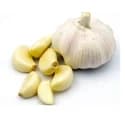 , garlic