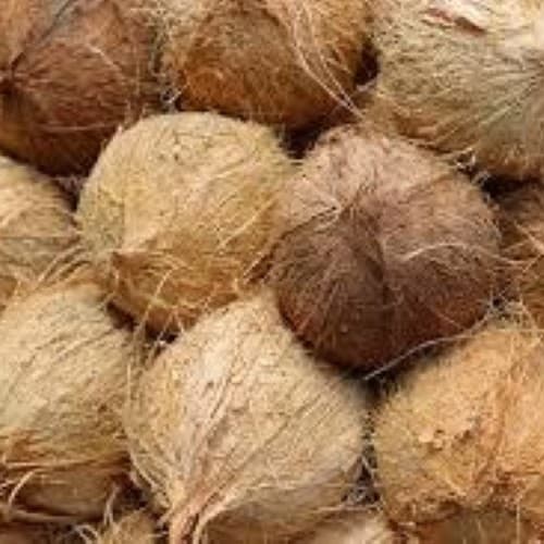 Husked Coconut