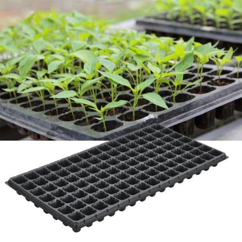 Seedling Trays