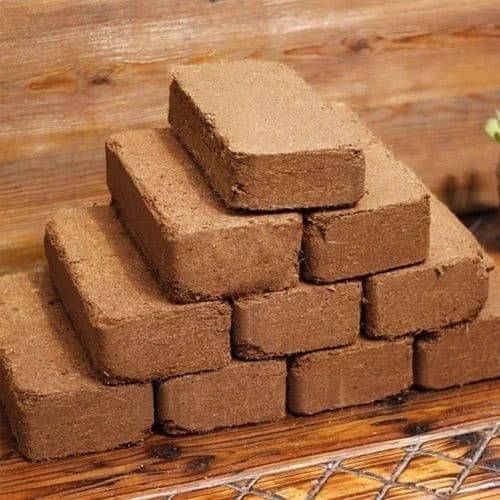 cocopeat
