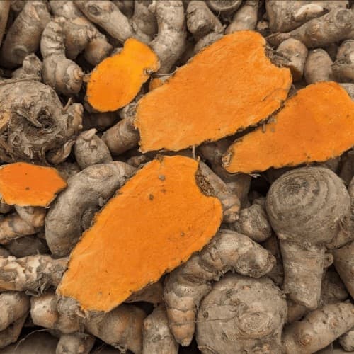 Lakadong Turmeric