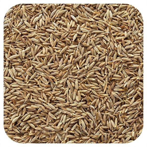 Cumin Seeds