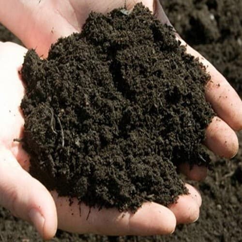 Manure Powder