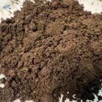 Raw Cow Dung