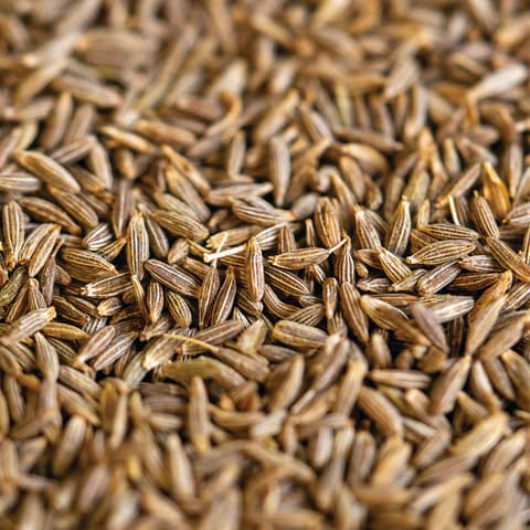 Cumin seed