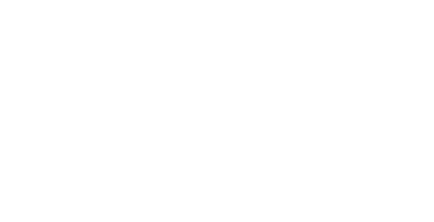 Amini Global