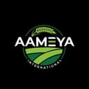 AAMEYA INTERNATIONAL