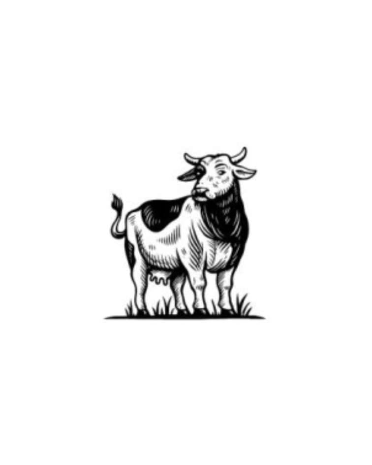 Gau shakti products
