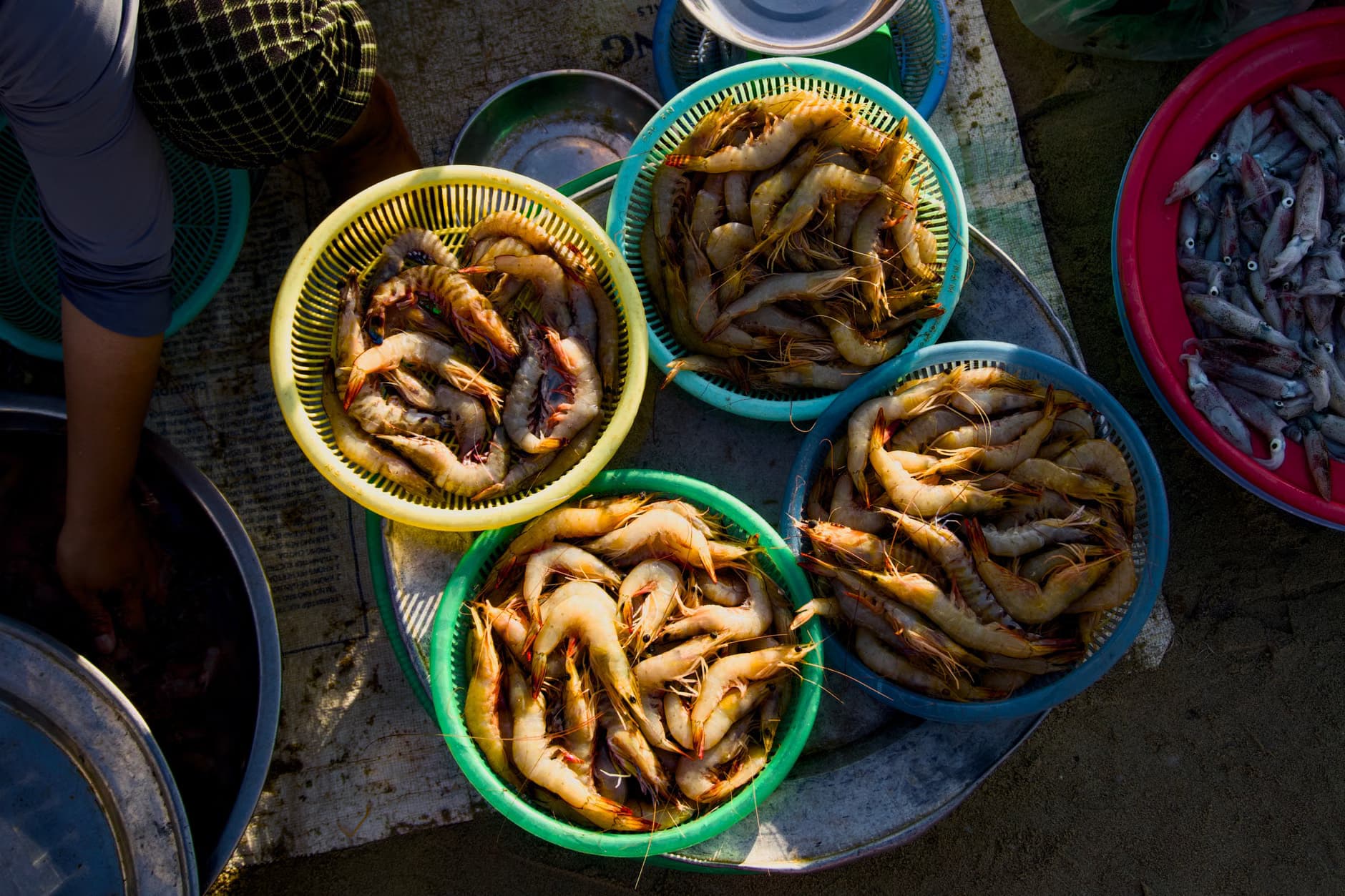 sea foods