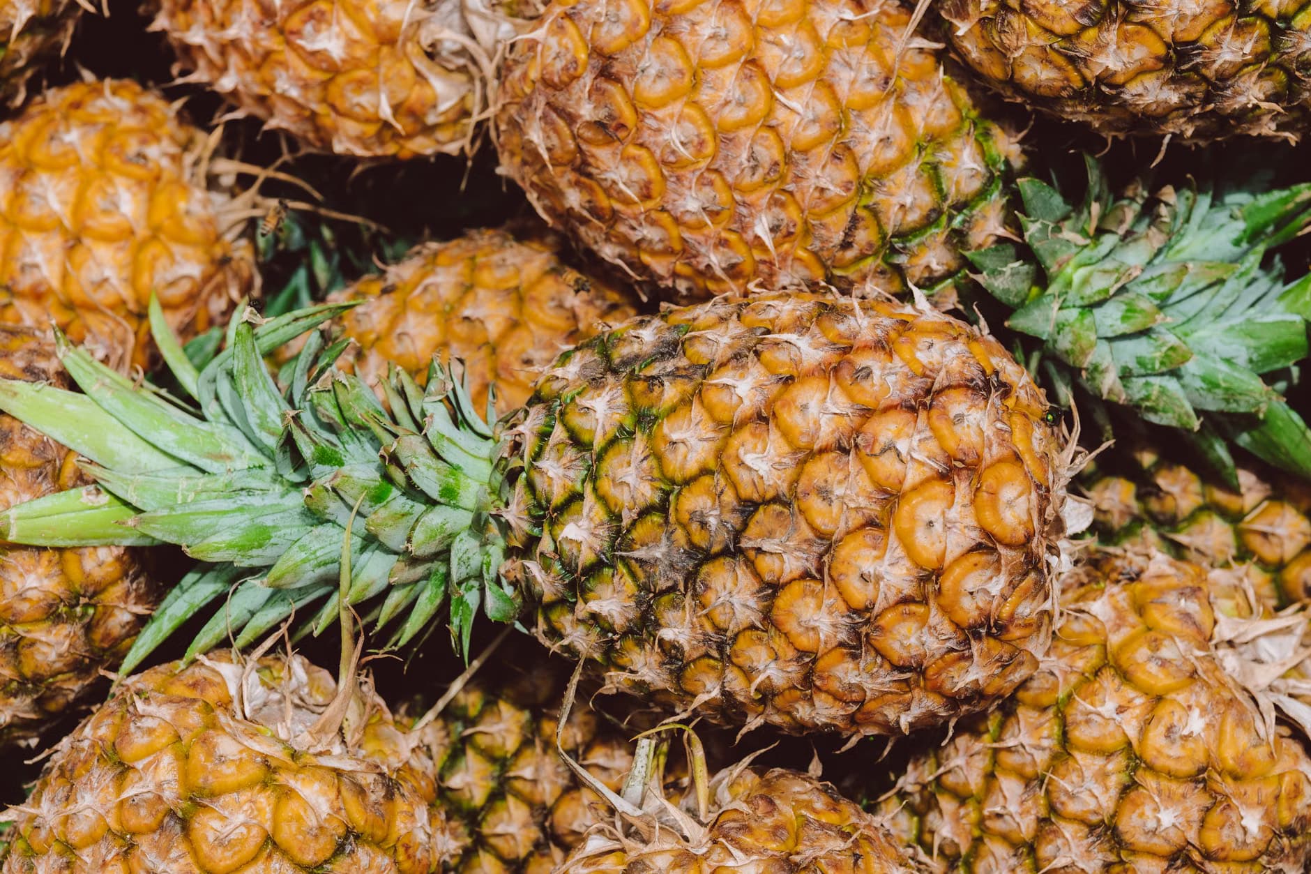 Pineapple
